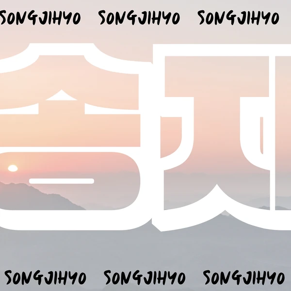 粉丝选出的宋智孝最佳瞬间