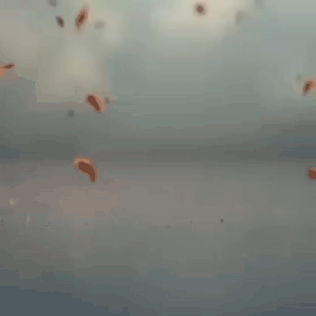 今天最受喜愛的丁海寅模樣