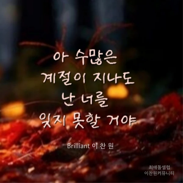 ファンが選んだイ・チャンウォンの最高の瞬間