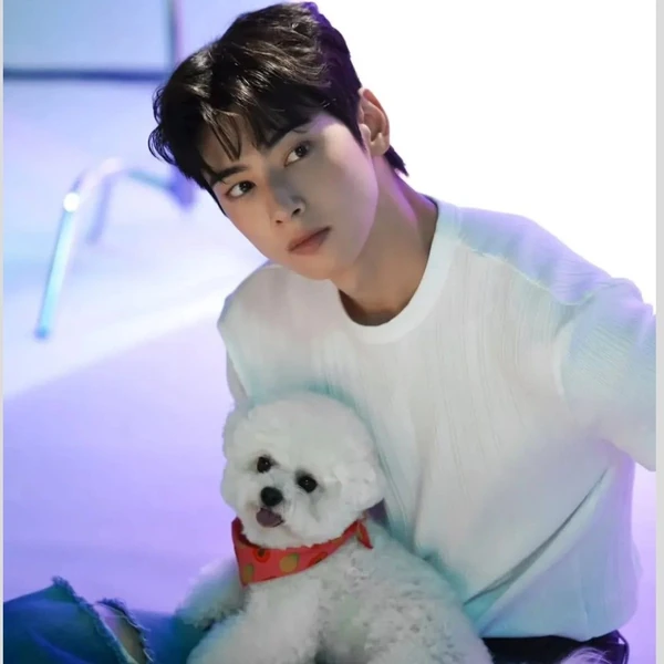 チャ・ウヌへのファンの愛が詰まった人気写真