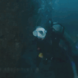 The most loved look of Song Jihyo today