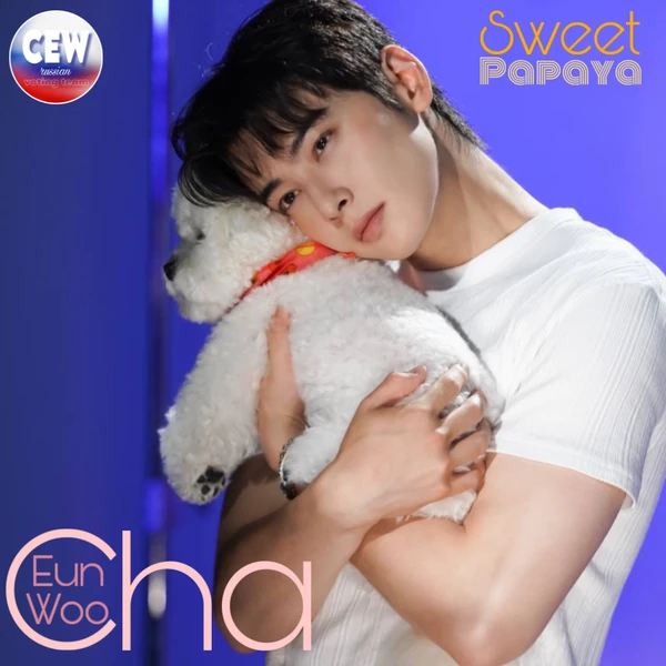 Top moment of Cha Eunwoo chosen by fans