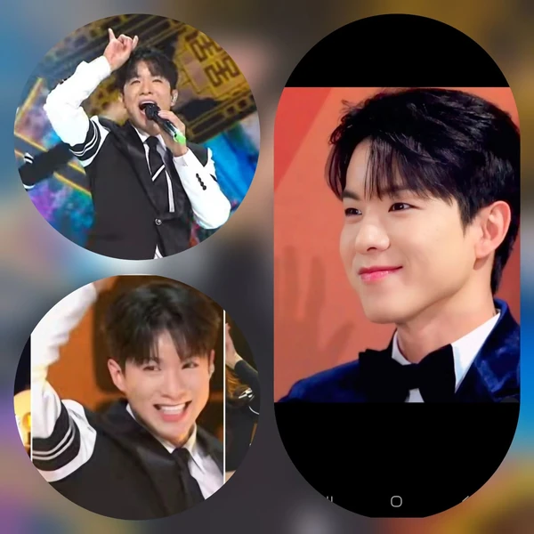 今天最受喜愛的羅泰柱模樣