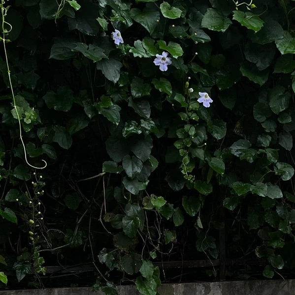 Popular photo full of fans’ love for Joo Jihoon