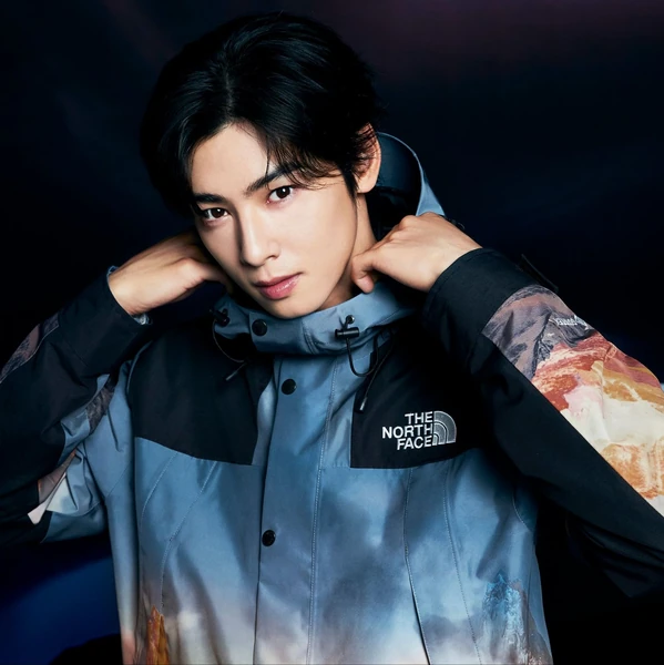 今天最受喜爱的车银优模样