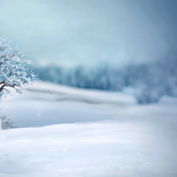 充滿粉絲愛的晉海成人氣照片