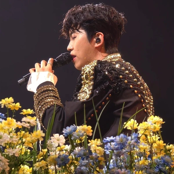 今天最受喜愛的林英雄模樣