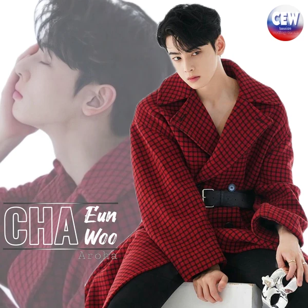 充满粉丝爱意的车银优人气照片