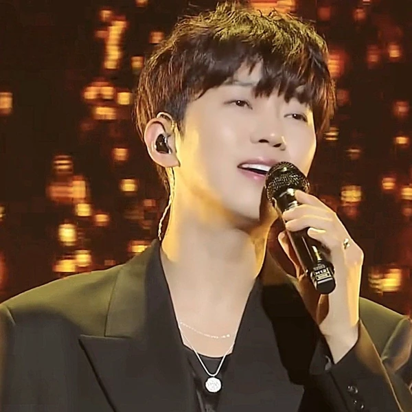 充满粉丝爱意的林英雄人气照片