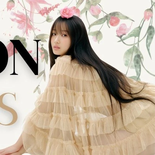 粉絲選出的金惠奫最佳時刻