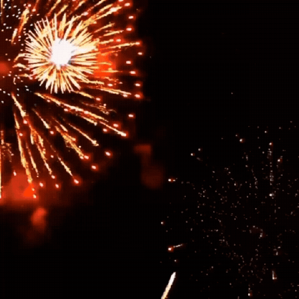 오늘 가장 사랑받은 김태연의 모습