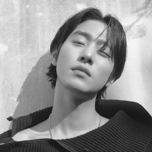 今天最受喜愛的安孝燮模樣