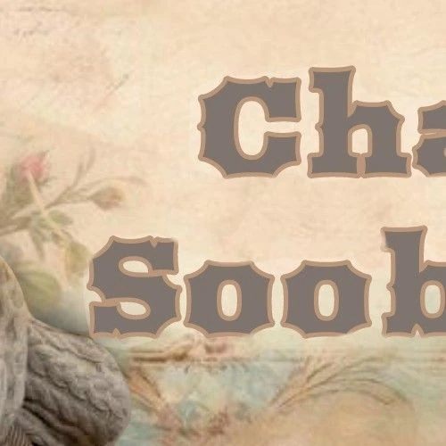 充滿粉絲愛的蔡秀彬人氣照片