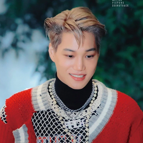 今日最も愛されたカイの姿