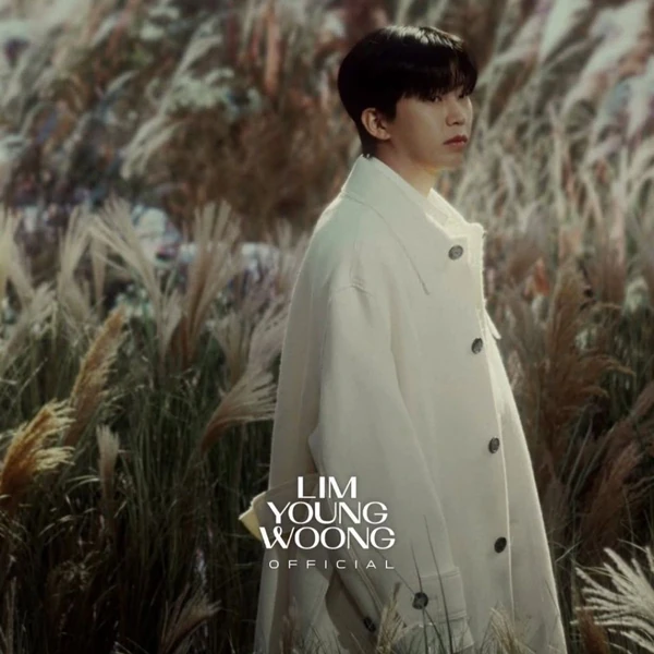 粉丝选出的林英雄最佳瞬间