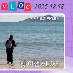 粉絲選出的宋智孝最佳時刻