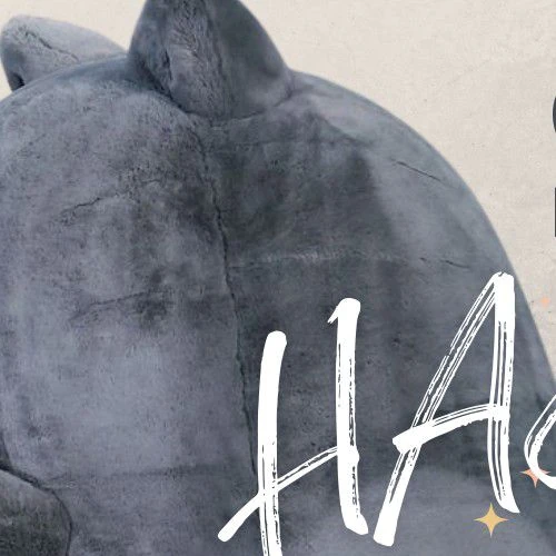 The most loved look of Shin Haesun today