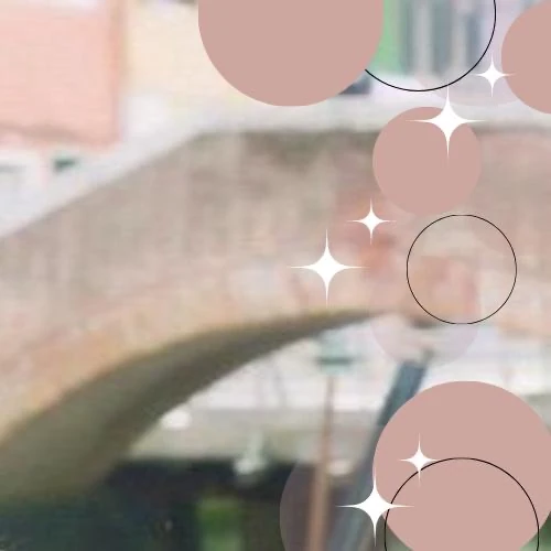 今日最も愛されたIUの姿