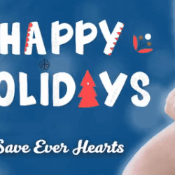 Top moment of Song Jihyo chosen by fans