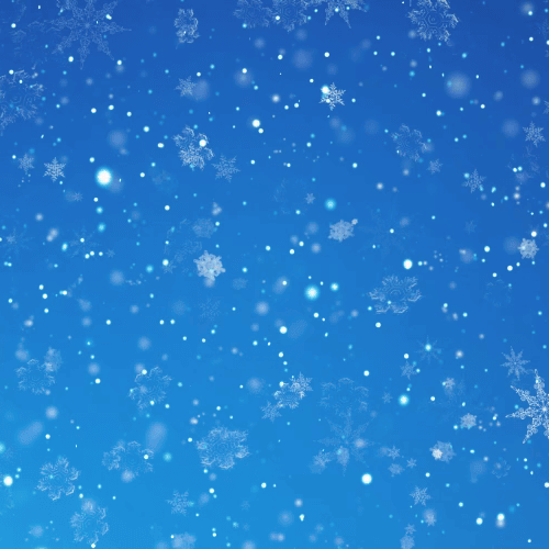 아이유 팬심 가득한 인기 사진