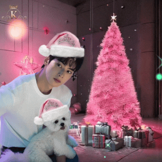 Top moment of Cha Eunwoo chosen by fans