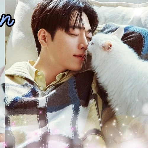 Popular photo full of fans’ love for Seo Kangjoon