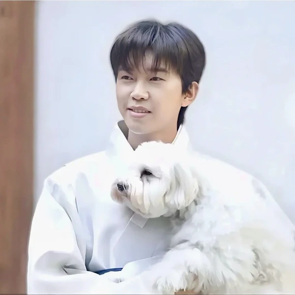 今天最受喜爱的林英雄模样