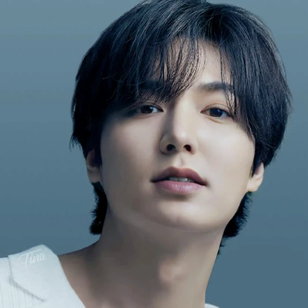 今天最受喜爱的李敏镐模样