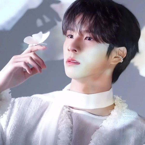 今天最受喜爱的郑东元模样