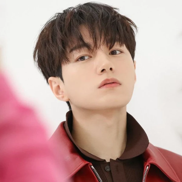 キム・ミョンス (エル)へのファンの愛が詰まった人気写真