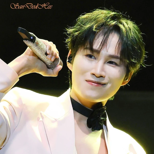 充满粉丝爱意的金熙栽人气照片