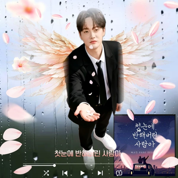 充滿粉絲愛的朴瑞鎮人氣照片