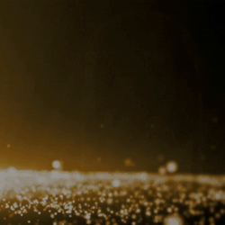 充满粉丝爱意的宋智孝人气照片