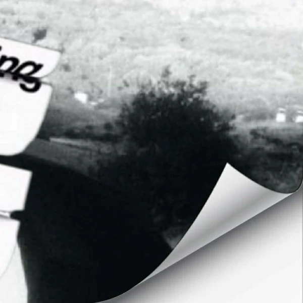 Popular photo full of fans’ love for Bai Jingting