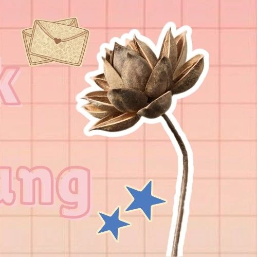 The most loved look of Park Boyoung today