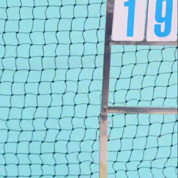 今天最受喜爱的路云模样