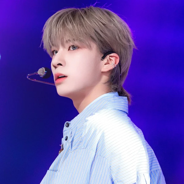 今天最受喜愛的鄭東元模樣