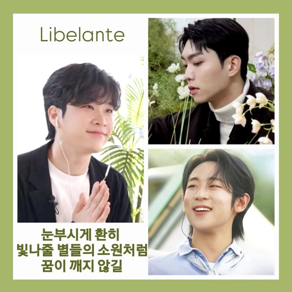 充滿粉絲愛的Libelante人氣照片