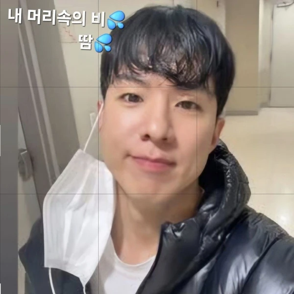 今天最受喜爱的罗泰柱模样