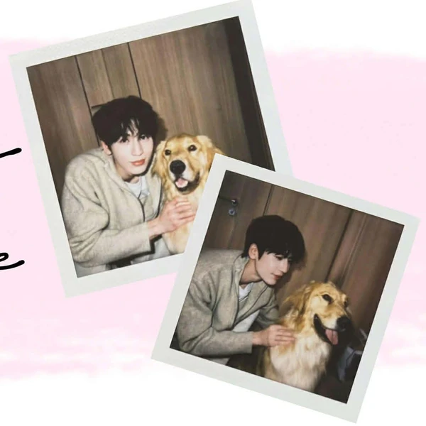 Penampilan Zhang Linghe yang paling disukai hari ini