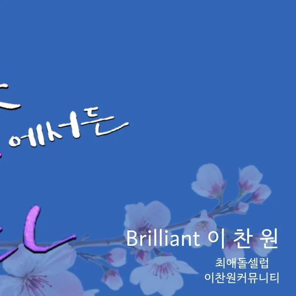 오늘 가장 사랑받은 이찬원의 모습