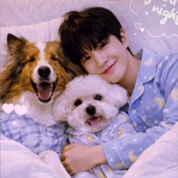 今日最も愛されたチョン・ドンウォンの姿