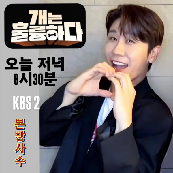 充满粉丝爱意的永卓人气照片