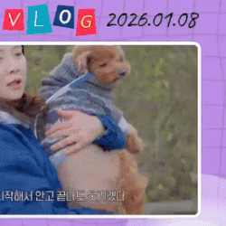 今天最受喜愛的宋智孝模樣