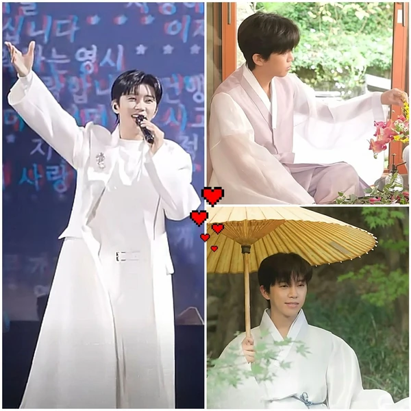 今天最受喜爱的林英雄模样