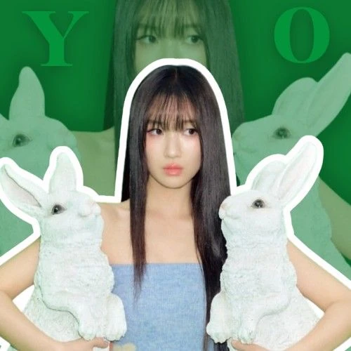 充满粉丝爱意的金惠奫人气照片