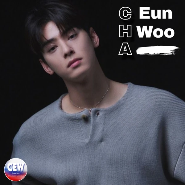 粉絲選出的車銀優最佳時刻