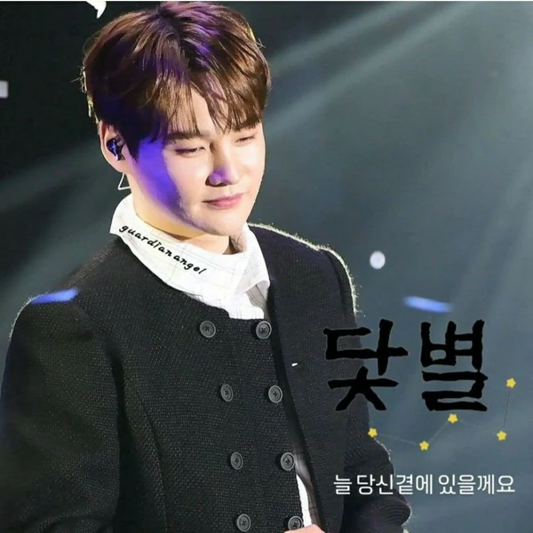 팬들이 뽑은 박서진 최고의 순간