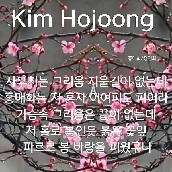 ファンが選んだキム・ホジュンの最高の瞬間