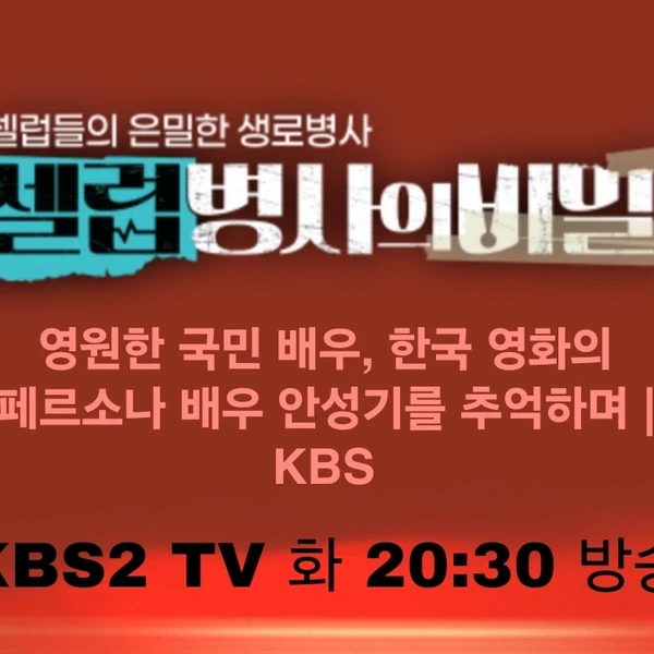 充满粉丝爱意的李灿元人气照片